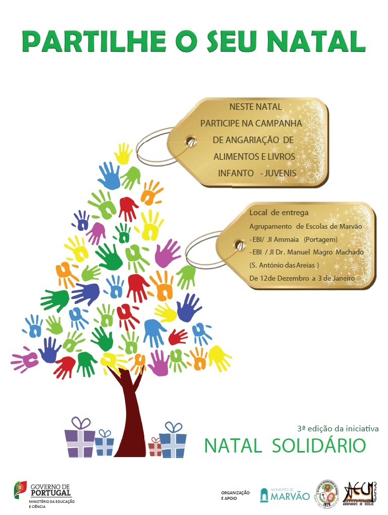 Natal Solidario 2013