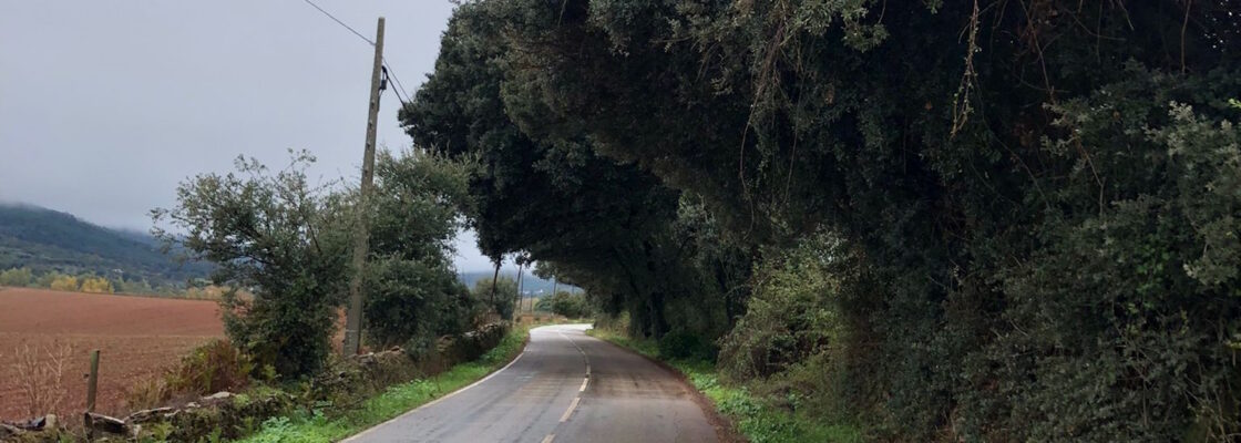 EM 521 entre os Olhos d’Água e Porto da Espada interdita à circulação no dia 4 de novembro