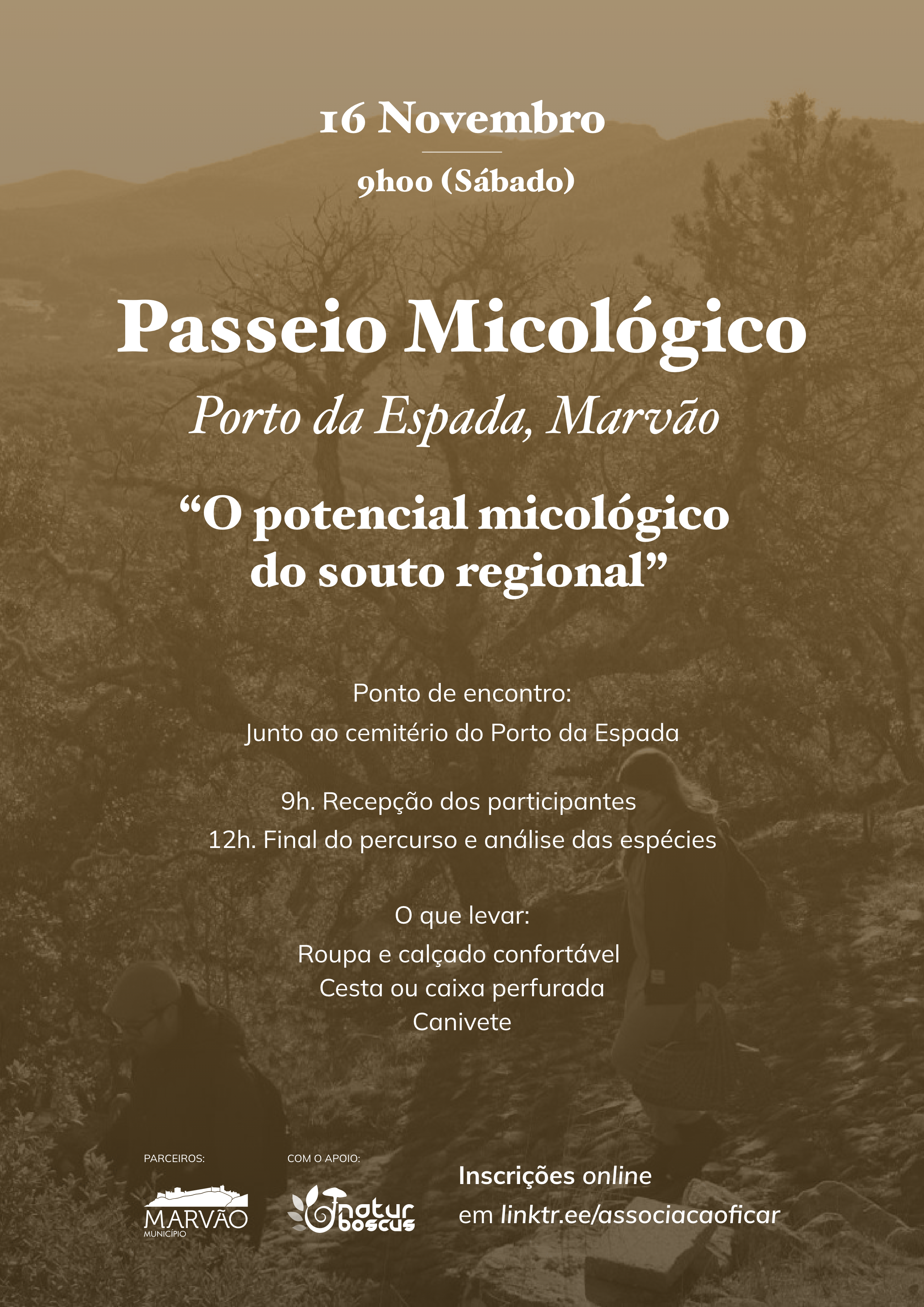 (Português) Passeio Micológico no Porto da Espada